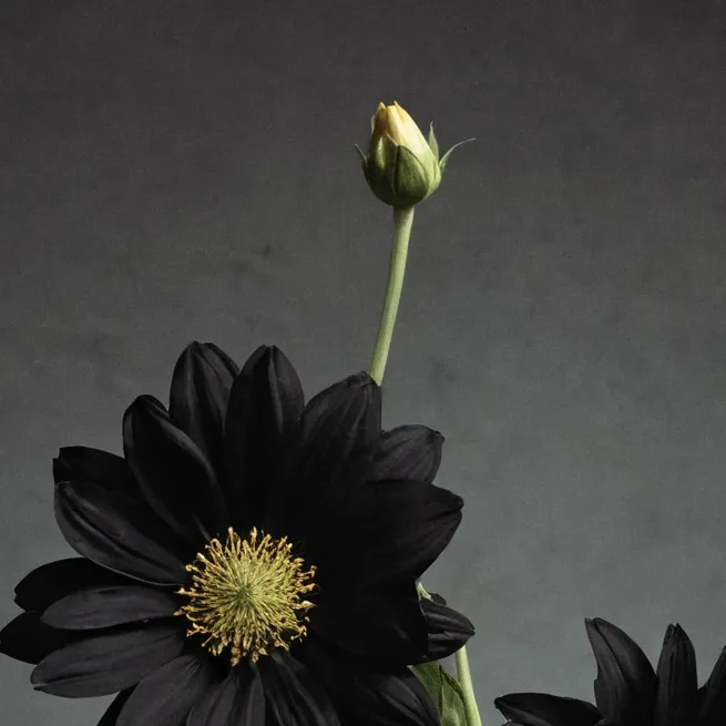 chat with ai character: Mafia Seungmin