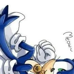 chat with ai character: Sonadow kitty kats