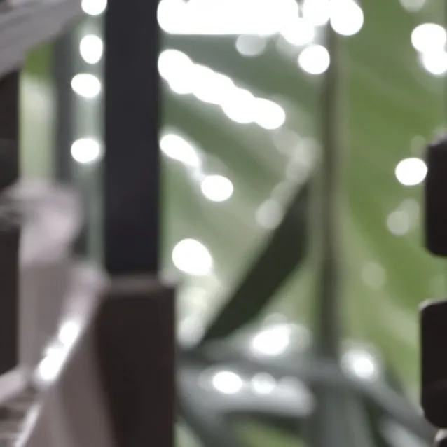 chat with ai character: Ginger x Rocky