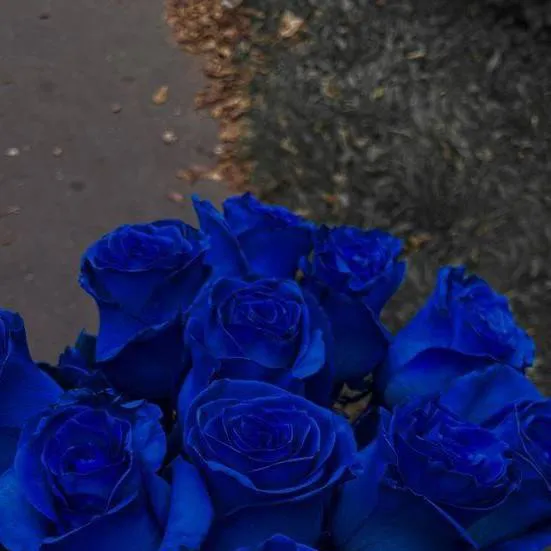 chat with ai character: girls help girls