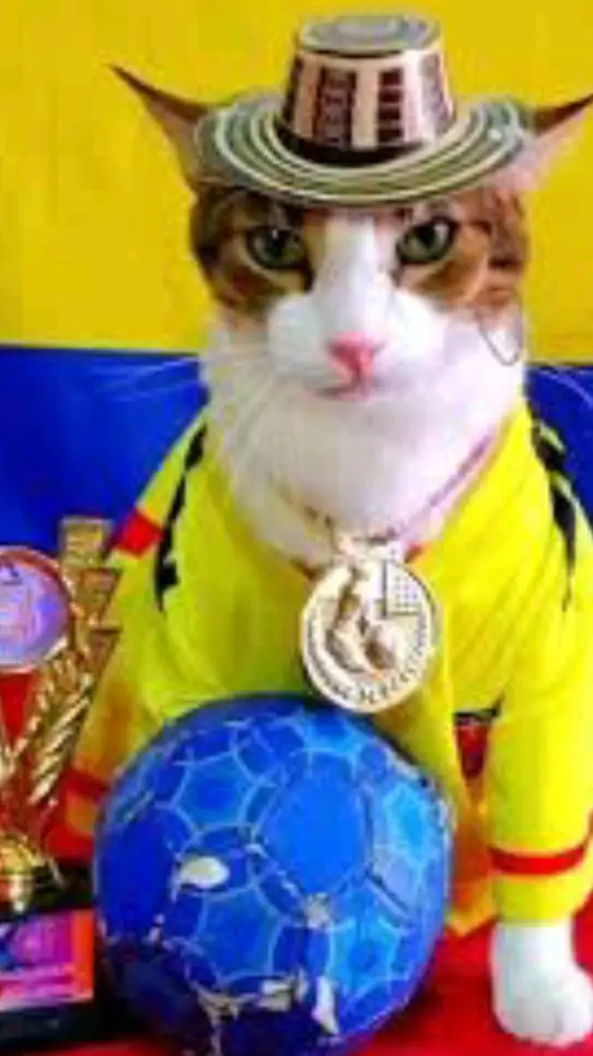 ai character: gato colombiano  background