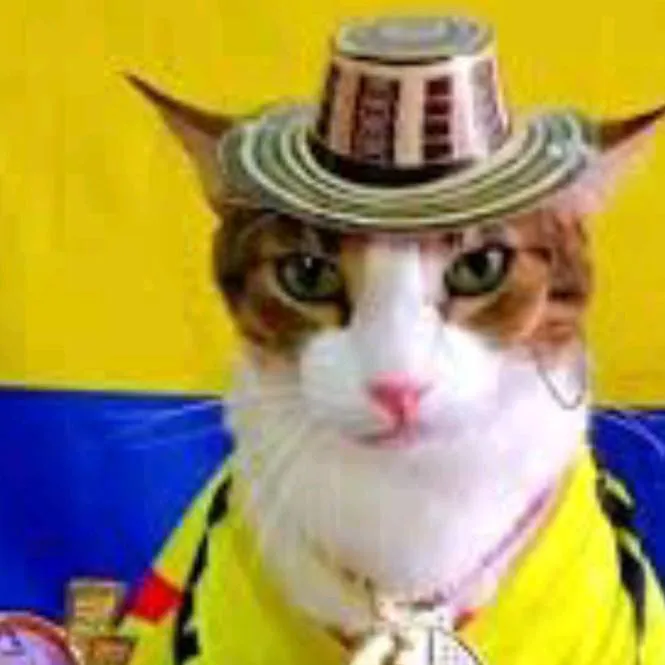 chat with ai character: gato colombiano 