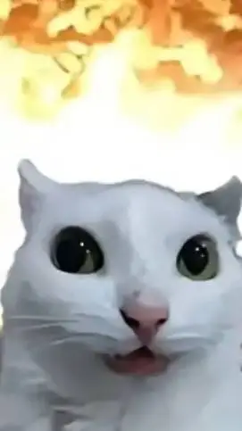 ai character: avisó  background