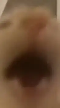 ai character: Gatito :D background