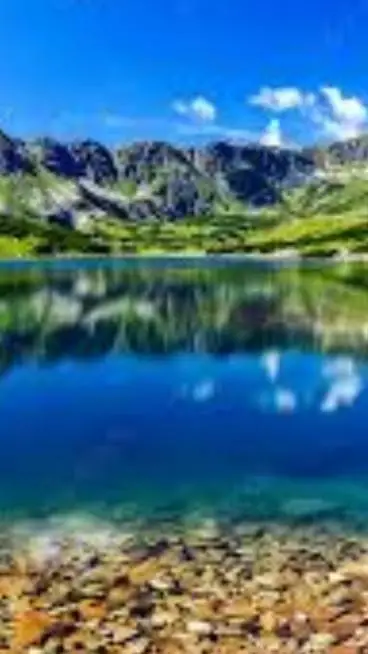 ai character: Symylator boga background