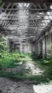 ai character: oliwier background