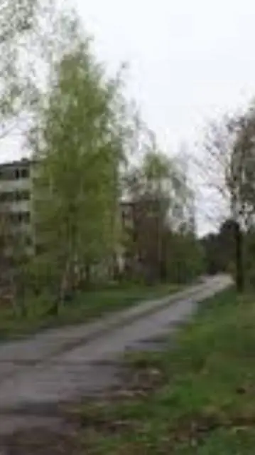 ai character: apokalipsa zombie background