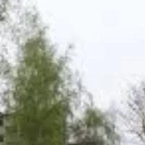 chat with ai character: apokalipsa zombie