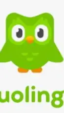 ai character: Duolingo background