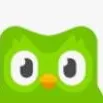 chat with ai character: Duolingo