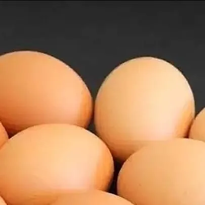 chat with ai character: Eggs