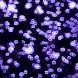 chat with ai character: talkie party 