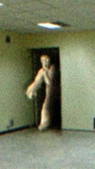 ai character: Entity 10 background
