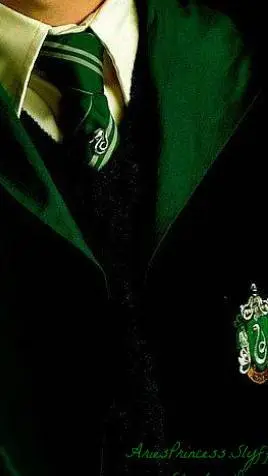 ai character: Slytherin boy background