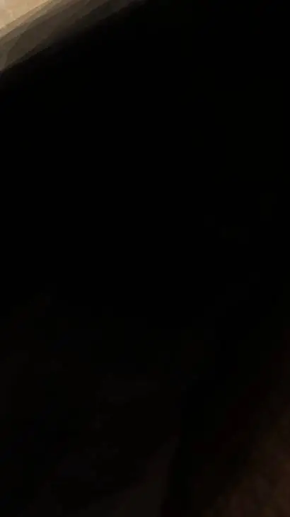 ai character: DSMP background
