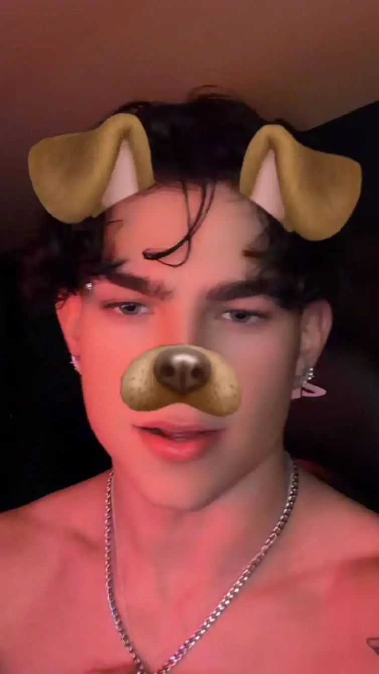 ai character: Sibe background