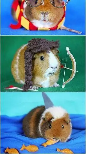 ai character: ejercito cuy background