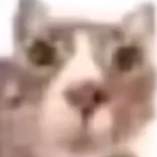 chat with ai character: gatito