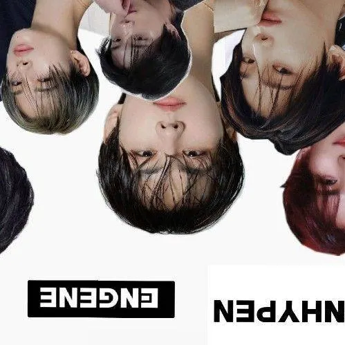 chat with ai character: Stray Kids Enhypen