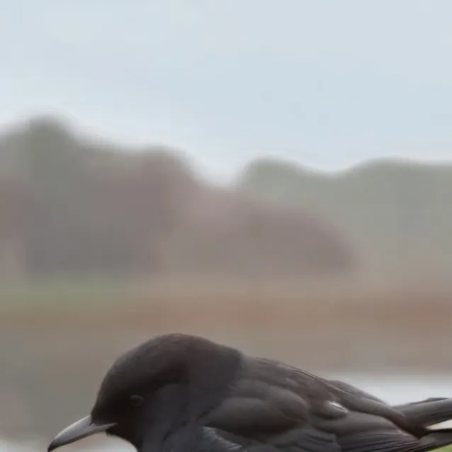 chat with ai character: Bts