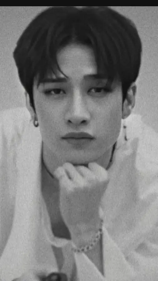 ai character: Bangchan-Ur hubby background