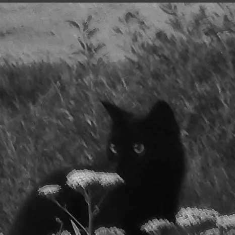 chat with ai character: |mp0ssible to h@t3