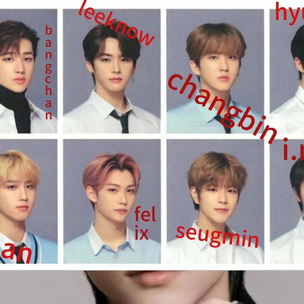 chat with ai character: skz Japanese 