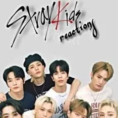 chat with ai character: skz