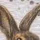chat with ai character: Mr rabbit's