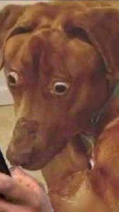 ai character: tu perrito uva background