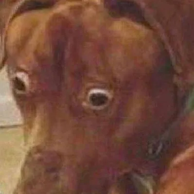 chat with ai character: tu perrito uva