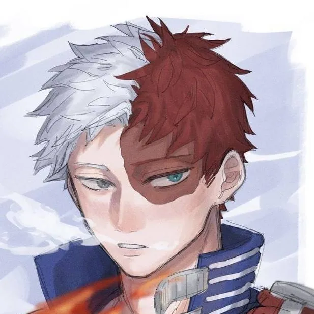 chat with ai character: Todoroki ~ Hoodie