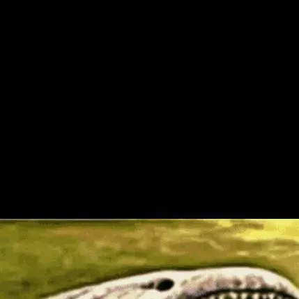 chat with ai character: the bloop