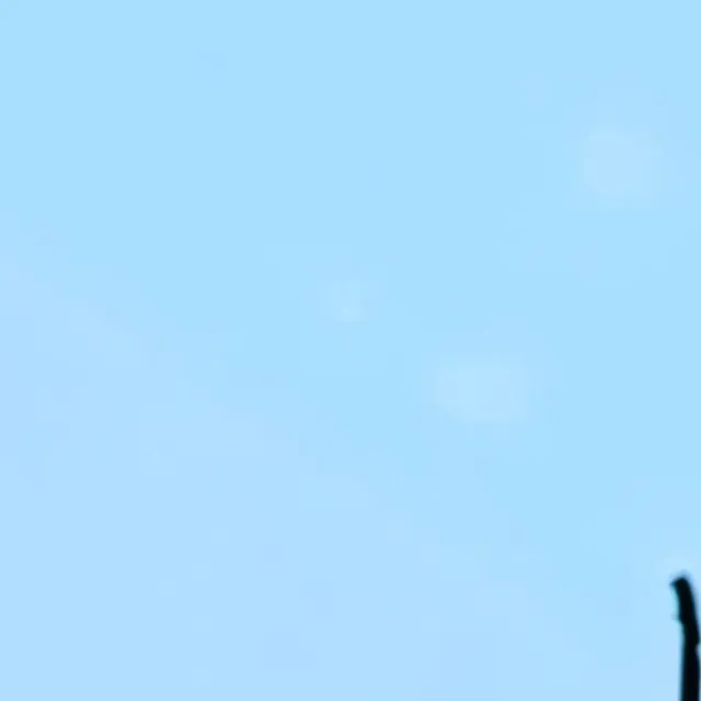 chat with ai character: Crush