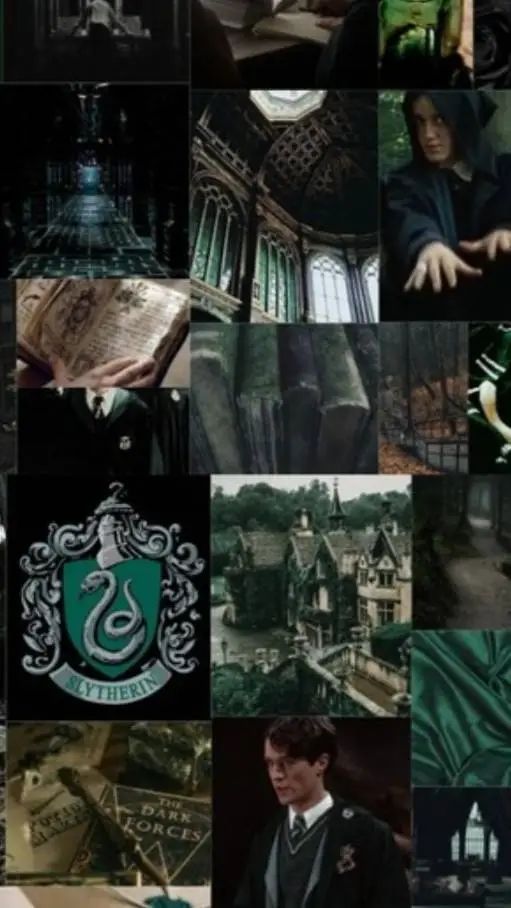 ai character: Slytherin fight Yn background