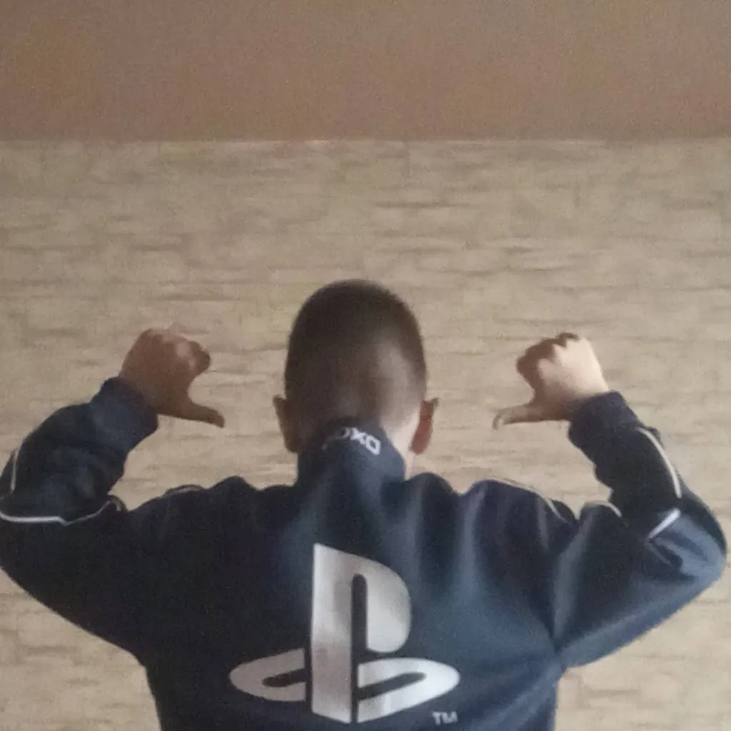 chat with ai character: PlayStation Owner