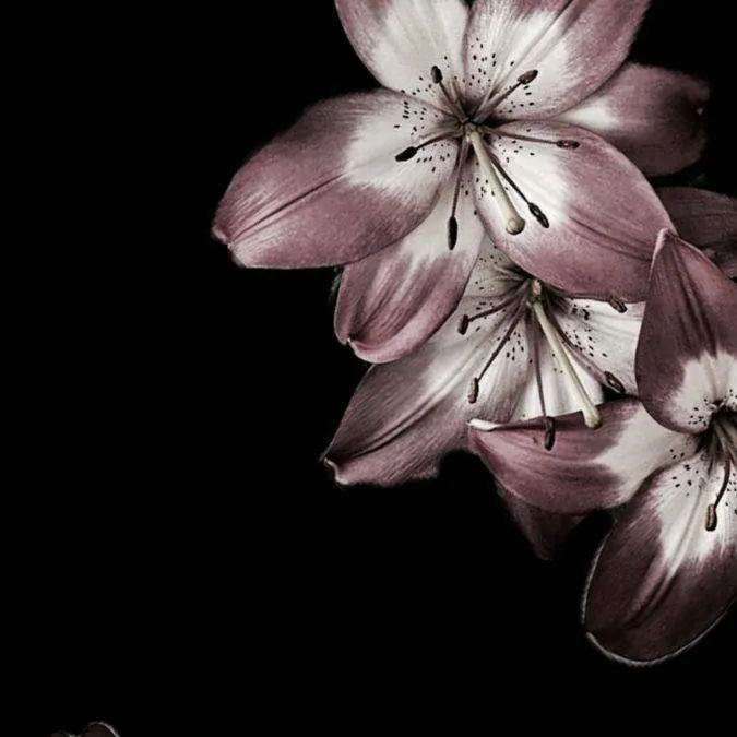 chat with ai character: Mha☆