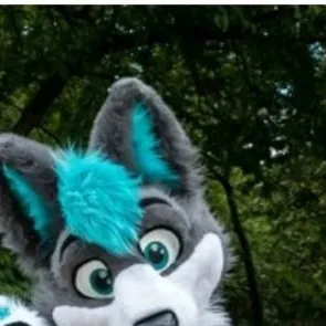chat with ai character: The furry group 