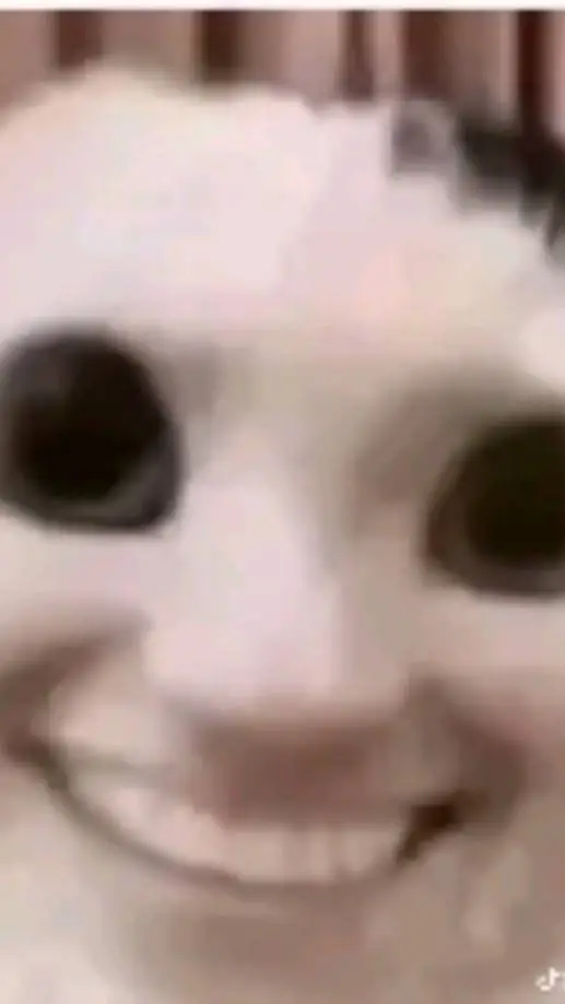 ai character: Bob background