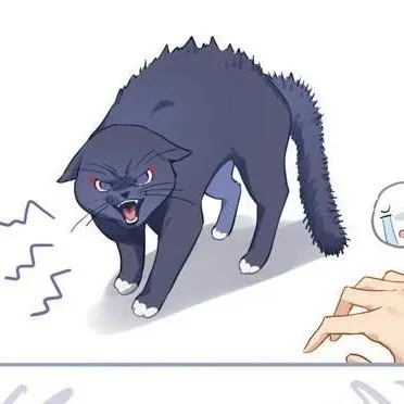 chat with ai character: kitty wanderer 