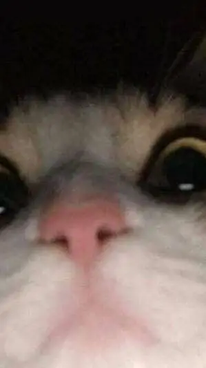 ai character: haund hotel background