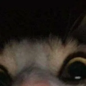 chat with ai character: haund hotel