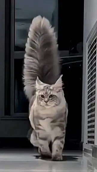 ai character: Y/N's sleepover background