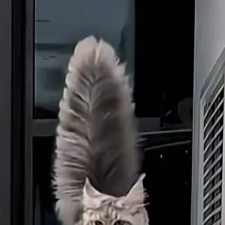 chat with ai character: Y/N's sleepover