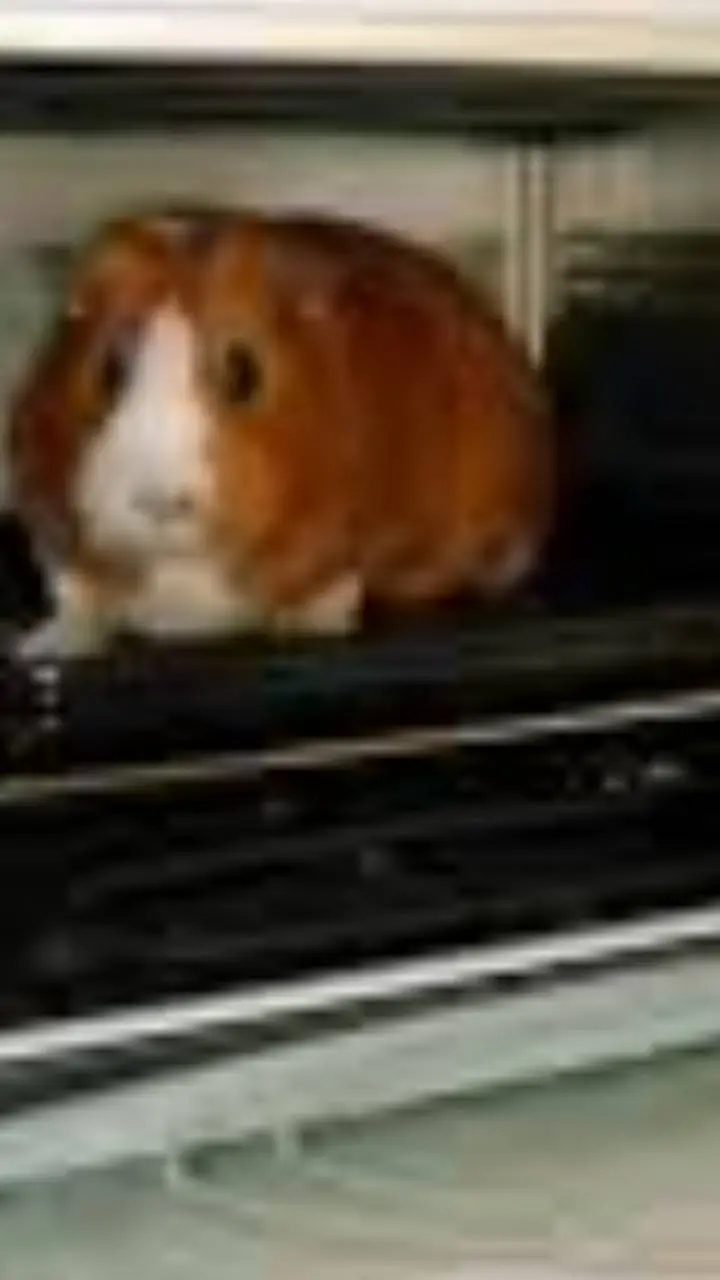 ai character: mha escape background