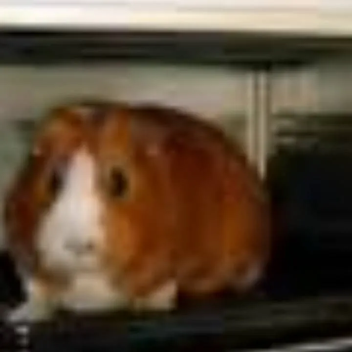 chat with ai character: mha escape