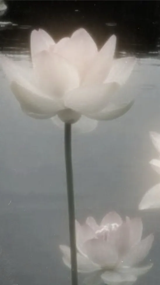 chat with ai character: Dekusquad x you!