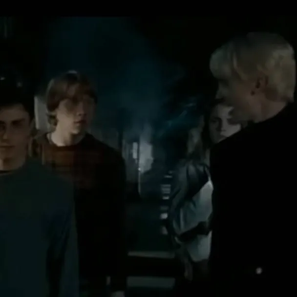 chat with ai character: Harry X Draco