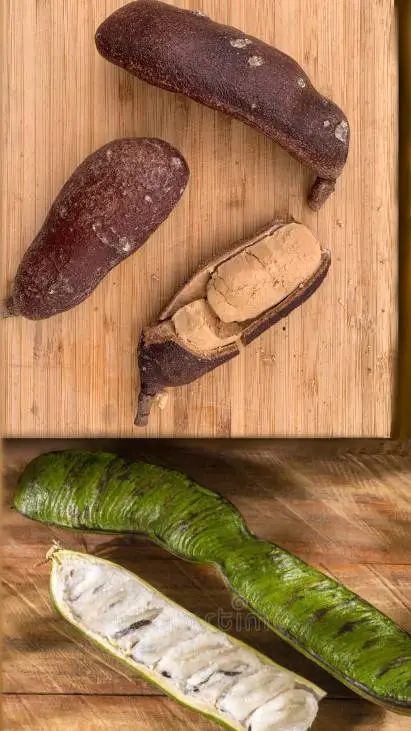 ai character: guama pecueca background