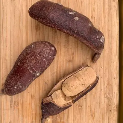 chat with ai character: guama pecueca